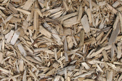 biomass boilers Stepaside
