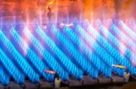 Stepaside gas fired boilers